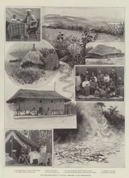 The Soudanese Revolt in Uganda, Sketches in the Protectorate